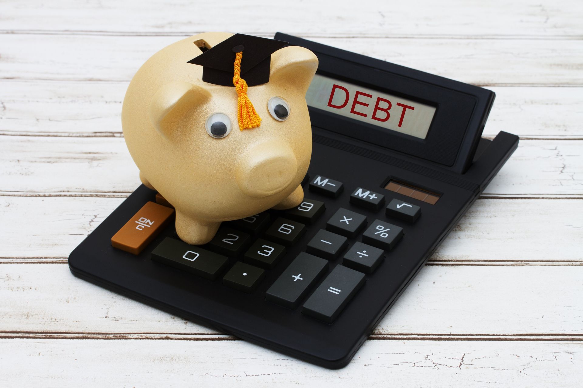 Homeowner; Loan; Debt